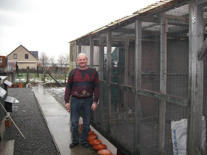 Uitslagen van de jonge duiven 2019